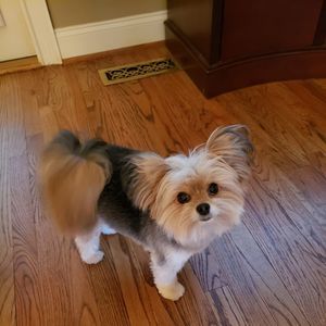 Meet your Posher, Renae